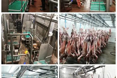 USA muslim halal beef abattoir plant be done by WFA team