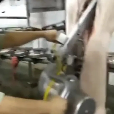 Pig Splitting Saw