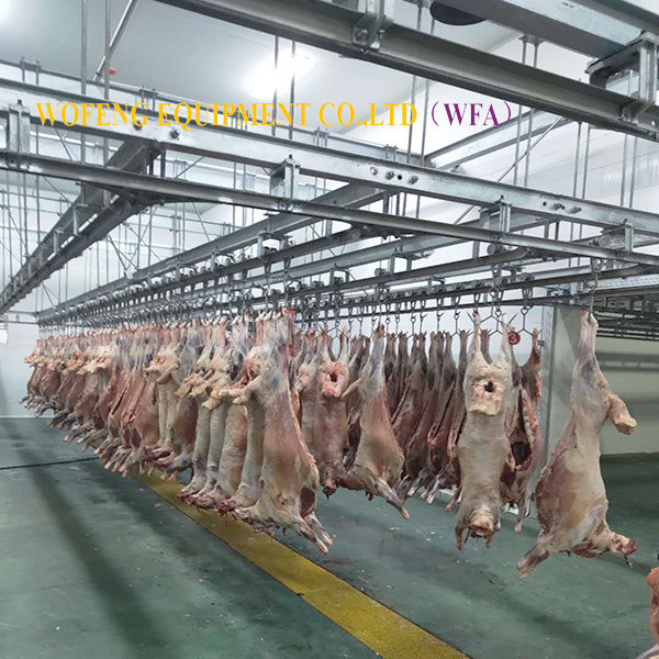 Ethiopia Sheep/Goat Slaughterhouse Equipment FM WFA Facotry