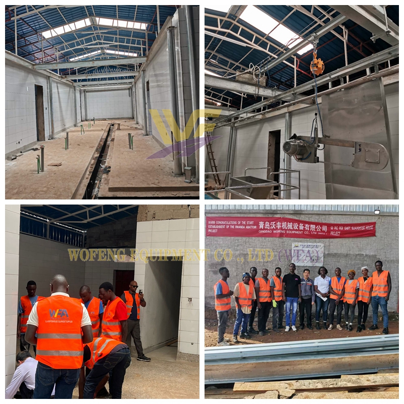 WFA Installation Pig Slaughter Line for Rwandan Client Successfully