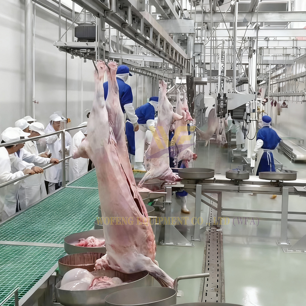 Sheep Slaughterhouse Goat Abattoir Plant Processing Plant