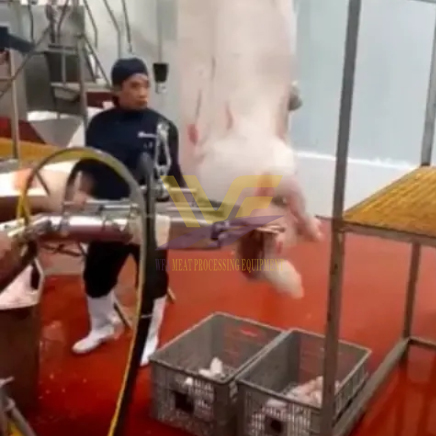 Pig Head Removed