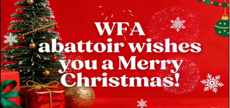 A Heartfelt Christmas at WFA Slaughtering Equipment Factory: Celebrating Together, Delivering with Excellence