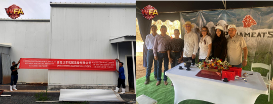 WFA Engineering Installation Cattle & Pig Slaughtering Line Equipment in Panama, Earns High Praise from Government Officials