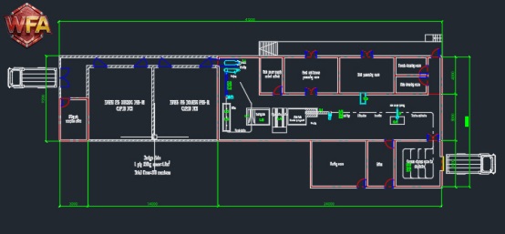 WFA Engineering Complete Slaughter Line Fully Commissioned: Pig Abattoir Project Completed in Ghana